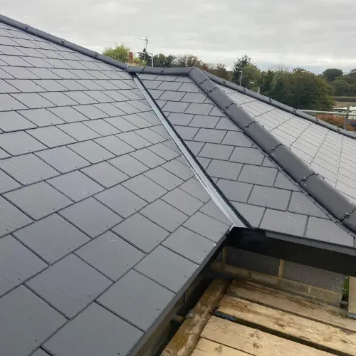 Recent roof project