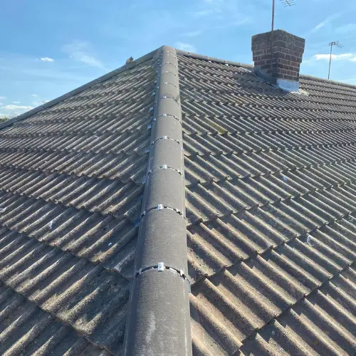 Recent roof project