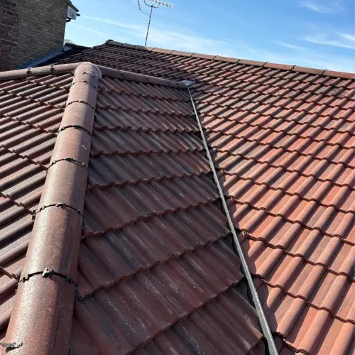 Recent roof project